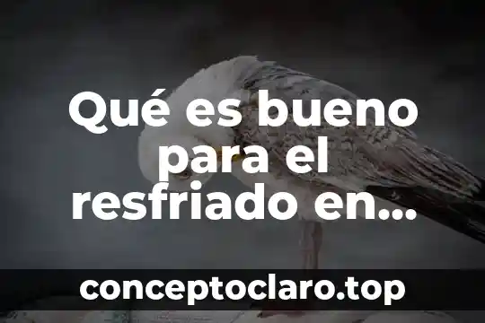 Qué es bueno para congestión nasal en bebés 3 Qué es bueno para el resfriado en bebés