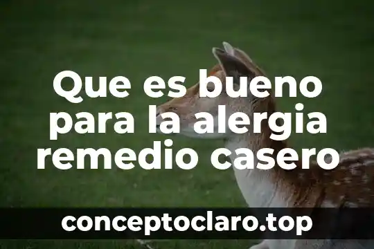 Que es bueno que sea natural para una alergia 8 Que es bueno para la alergia remedio casero