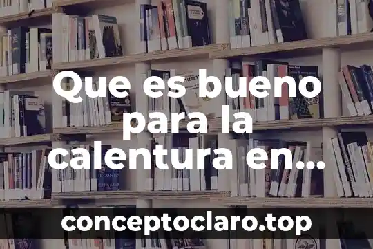 Explicación de lo que es el Sol para niños 7 Que es bueno para la calentura en los niños