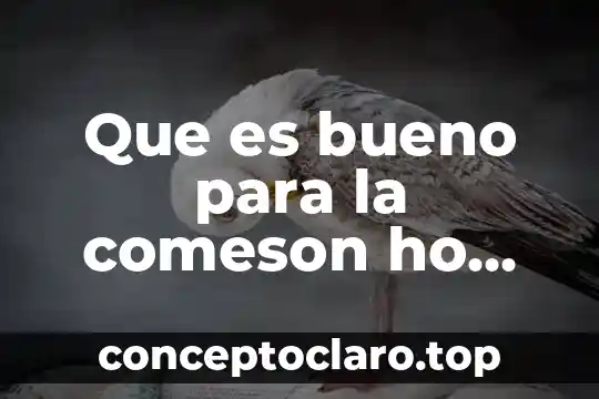 Que es bueno que sea natural para una alergia 4 Que es bueno para la comeson ho alergia