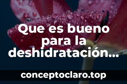 Qué es bueno para congestión nasal en bebés 6 Que es bueno para la deshidratación en bebes