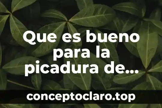 Que es bueno para la picadura de chinche