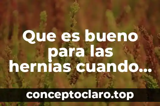 Qué es el silogismo como está compuesto y formado 5 Que es bueno para las hernias cuando esta inflamada