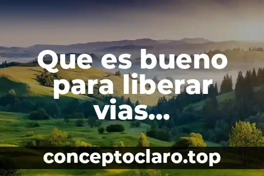 Que es bueno para una infeccion de las vias urinarias 7 Que es bueno para liberar vias respiratorias