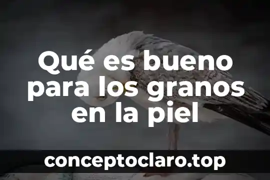 Administracion de activos extranjeros que es 7 Qu茅 es bueno para los granos en la piel