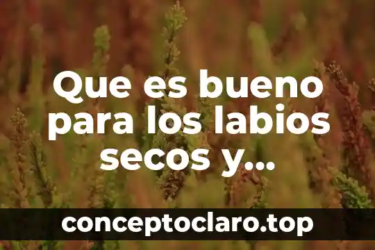 Que es bueno para los labios secos y partidos