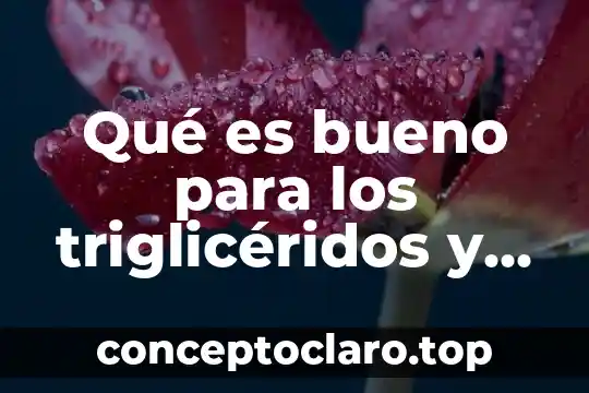 Para que es bueno el te de canela y manzanilla 4 Qué es bueno para los triglicéridos y colesterol