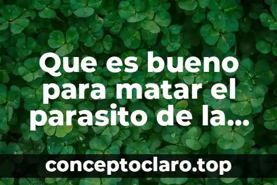 Que es bueno para matar el parasito de la gastriis