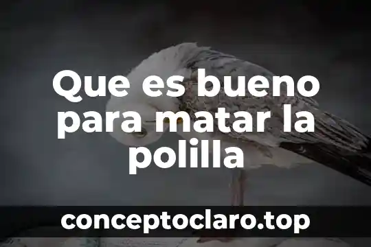 Que es bueno para matar la polilla