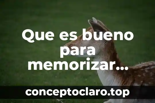 Que es bueno para memorizar para un examen