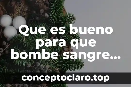 Que es bueno para que bombe sangre al cerebro