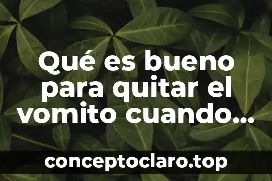 Qué es bueno para quitar los granos del cuerpo 6 Qué es bueno para quitar el vomito cuando tomas tequila