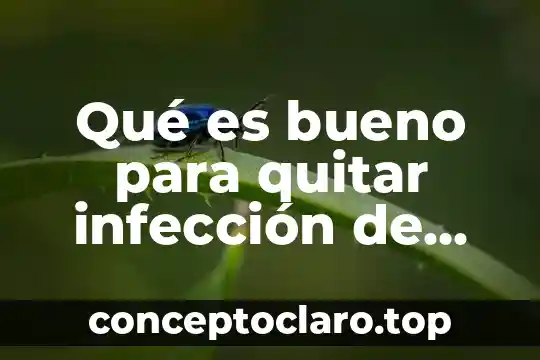 Qué es bueno para quitar los granos del cuerpo 8 Qué es bueno para quitar infección de garganta