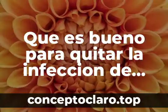 Qué es bueno para quitar los granos del cuerpo 7 Que es bueno para quitar la infeccion de muela