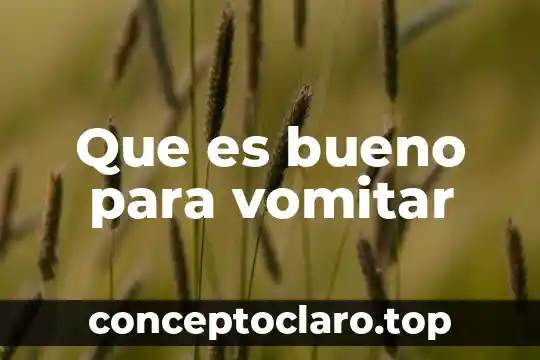 Que es bueno para vomitar