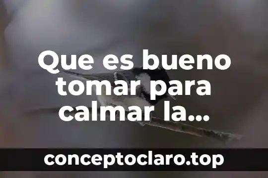Que es bueno tomar para calmar la diarrea