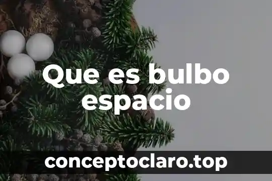 Que es manejo de espacio en la danza 4 Que es bulbo espacio