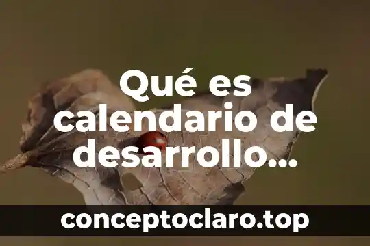 En que es conveniente un calendario de agua solar 4 Qué es calendario de desarrollo exposición