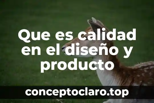 Que es calidad en el diseño y producto