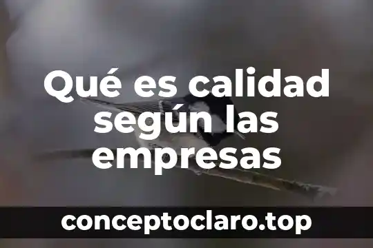 Software estadístico que es usado por las empresas 4 Qué es calidad según las empresas