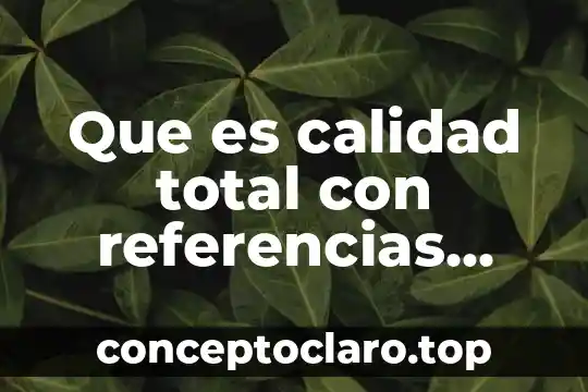 Que es calidad total con referencias bibliograficas
