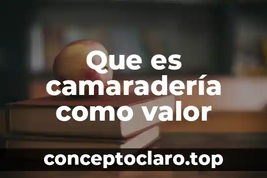 Que es camaradería como valor
