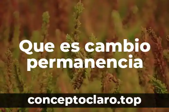 Que es derechosan petersburgo porque cambio el nombre 8 Que es cambio permanencia