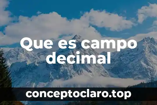 Que es campo decimal