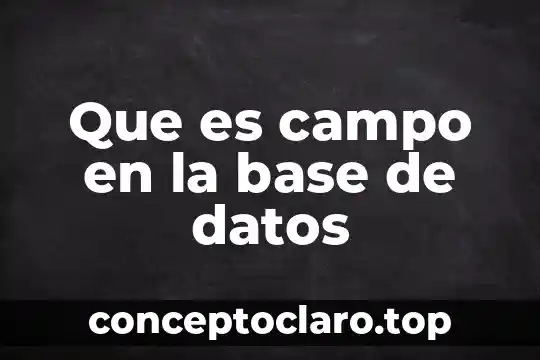 Que es campo en la base de datos