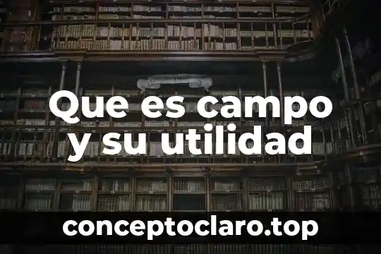 Que es campo y su utilidad