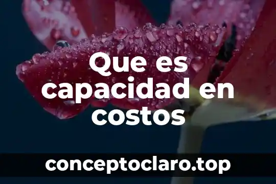 Que es capacidad en costos