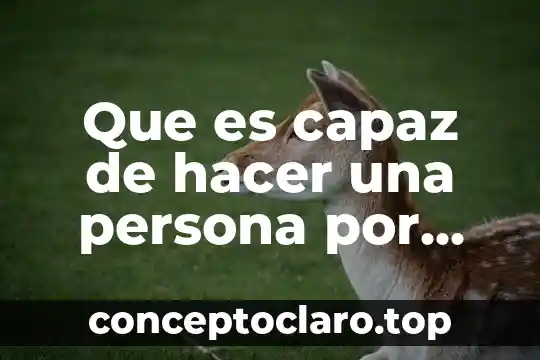 Que es capaz de hacer una persona por amor