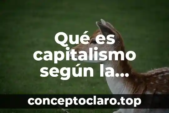 Qué es capitalismo según la filosofía
