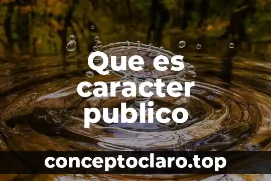 Que es caracter publico