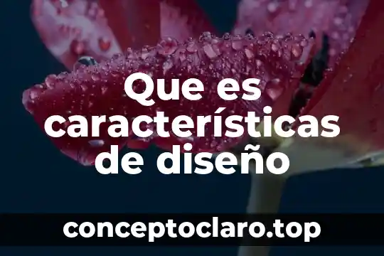 Que es características de diseño