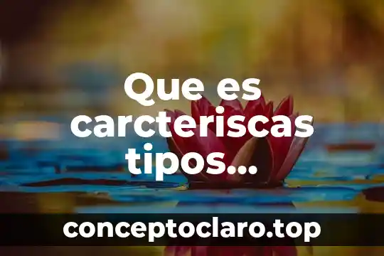 Que es carcteriscas tipos chequeejemplo