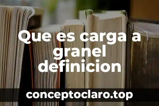 Que es carga a granel definicion