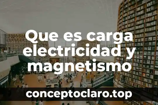 Que es carga electricidad y magnetismo