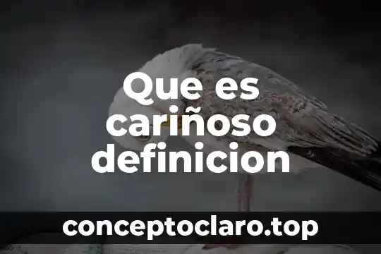 Que es cariñoso definicion