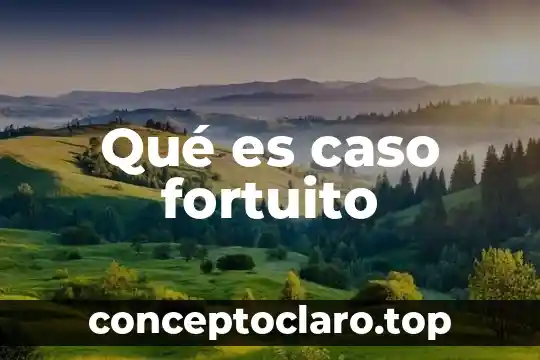 Que es el caso gramatical en el griego 4 Qué es caso fortuito
