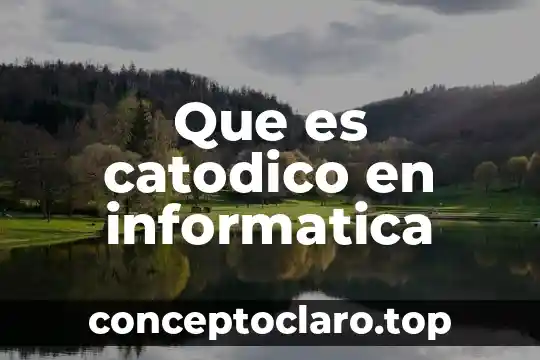 Que es catodico en informatica