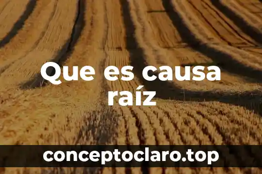 Que es causa raíz
