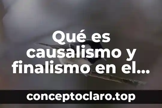 Qué es causalismo y finalismo en el derecho penal