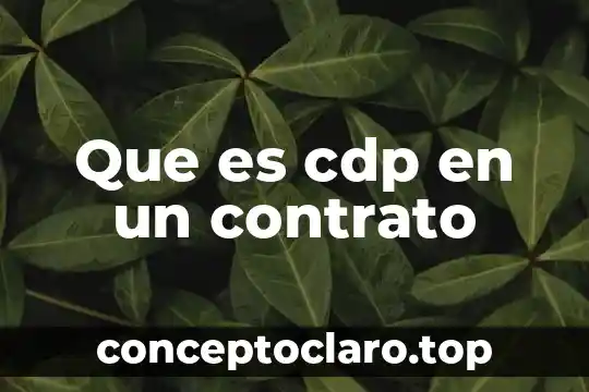 Que es el contrato preparatorio 3 Que es cdp en un contrato