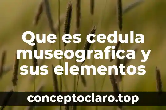 Que es clasificación de los elementos 5 Que es cedula museografica y sus elementos