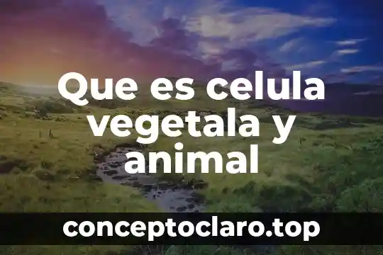 Que es celula vegetala y animal