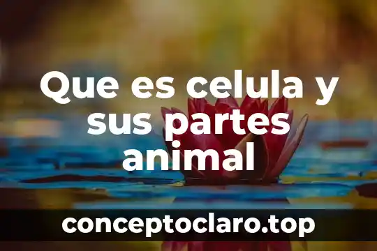 Que es celula y sus partes animal