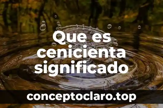 Que es un juego de palabras significado 3 Que es cenicienta significado