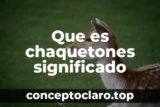 Qué es axiología significado etimológico 7 Que es chaquetones significado