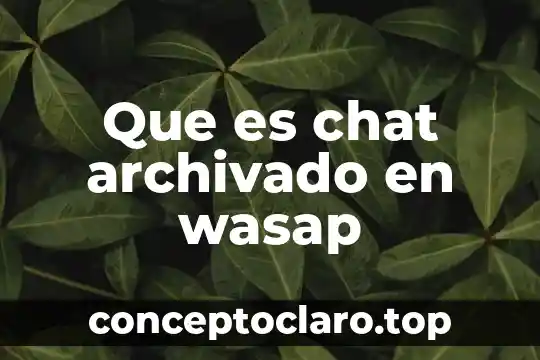 Que es chat archivado en wasap